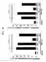 Fig. 13 - Polyion complex of double-stranded ribonucleic acid