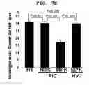 Fig. 16 - Polyion complex of double-stranded ribonucleic acid
