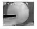 Fig. 01 - SURFACE ENGINEERING OF TISSUE GRAFT MATERIALS FOR ENHANCED POROSITY AND CELL ADHESION
