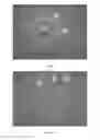 Fig. 05 - SURFACE ENGINEERING OF TISSUE GRAFT MATERIALS FOR ENHANCED POROSITY AND CELL ADHESION