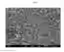 Fig. 03 - POORLY SOLUBLE DRUG  CONTAINING MICROSPHERE WITH IMPROVED BIOAVAILABILTY AND  METHOD OF PREPARING THE SAME