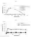 Fig. 04 - POORLY SOLUBLE DRUG  CONTAINING MICROSPHERE WITH IMPROVED BIOAVAILABILTY AND  METHOD OF PREPARING THE SAME