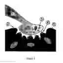 Fig. 04 - METHOD AND SYSTEM FOR EFFECTING CHANGES IN PIGMENTED TISSUE