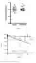 Fig. 02 - Cellular compositions for use in therapy