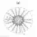 Fig. 01 - Particulate pharmaceutical composition