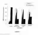 Fig. 06 - Cross-linked bioactive hydrogel matrices