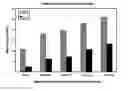 Fig. 08 - Cross-linked bioactive hydrogel matrices