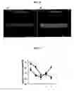 Fig. 05 - Compositions and methods for the prevention and treatment of brain diseases and conditions