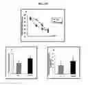 Fig. 08 - Compositions and methods for the prevention and treatment of brain diseases and conditions