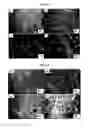 Fig. 11 - Compositions and methods for the prevention and treatment of brain diseases and conditions