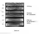 Fig. 11 - METHOD OF IMPROVING THE THERMO-MECHANICAL PROPERTIES OF FIBER-REINFORCED SILICON CARBIDE MATRIX COMPOSITES