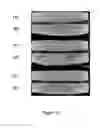 Fig. 12 - METHOD OF IMPROVING THE THERMO-MECHANICAL PROPERTIES OF FIBER-REINFORCED SILICON CARBIDE MATRIX COMPOSITES