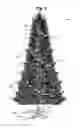 Fig. 02 - Modular lighted tree with trunk electical connectors