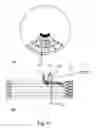 Fig. 05 - Integrated multiaxial articles: method, apparatus and fabrics