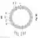 Fig. 12 - Integrated multiaxial articles: method, apparatus and fabrics