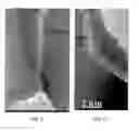 Fig. 05 - Vertically aligned carbon nanotube arrays from liquid dispersions