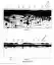 Fig. 02 - PANELS FOR THE INTERIOR SURFACES OF BUILDINGS