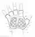 Fig. 01 - Cycling glove and support area pads