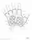 Fig. 02 - Cycling glove and support area pads