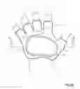 Fig. 04 - Cycling glove and support area pads