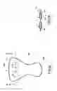 Fig. 16 - Cycling glove and support area pads