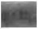 Fig. 01 - Coating composition capable of forming a crystal-like stereo-pattern and metal product having the crystal-like stereo-pattern formed thereon