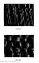 Fig. 08 - Porous materials, methods of making and uses