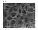 Fig. 02 - Porous materials, methods of making and uses