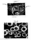 Fig. 07 - Carbon material and method for producing same