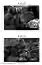 Fig. 12 - Carbon material and method for producing same