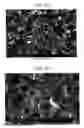 Fig. 15 - Carbon material and method for producing same