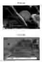 Fig. 23 - Carbon material and method for producing same
