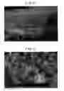 Fig. 42 - Carbon material and method for producing same