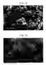 Fig. 44 - Carbon material and method for producing same
