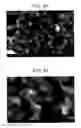 Fig. 47 - Carbon material and method for producing same