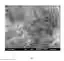 Fig. 03 - Catalyst composition for the synthesis of thin multi-walled carbon nanotube