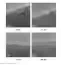 Fig. 06 - Carbon nanofibers derived from polymer nanofibers and method of producing the nanofibers