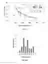 Fig. 14 - Carbon nanofibers derived from polymer nanofibers and method of producing the nanofibers