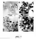 Fig. 08 - Synthesis of silicon nanorods