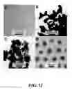 Fig. 13 - Synthesis of silicon nanorods