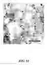 Fig. 14 - Synthesis of silicon nanorods