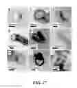 Fig. 19 - Synthesis of silicon nanorods