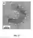 Fig. 20 - Synthesis of silicon nanorods