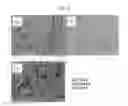 Fig. 03 - METAL COMPLEX NANOPARTICLES AND METHOD FOR PRODUCING THE SAME