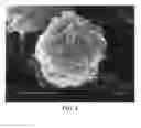 Fig. 07 - Lithium super-battery with a chemically functionalized disordered carbon cathode