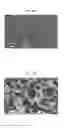 Fig. 05 - Negative-electrode active material for rechargeable lithium battery