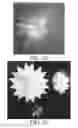 Fig. 22 - Cellophane cut out kits for optical art