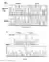 Fig. 09 - Methods and compositions for detecting a drug resistant EGFR mutant