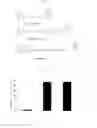 Fig. 02 - Method for producing complex of biotin-labeled () luciferase with streptoavidin and method for stabilizing the same