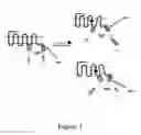 Fig. 02 - Measuring G protein coupled receptor activation